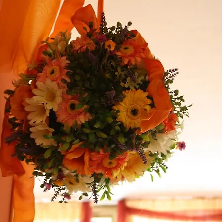 酒店 Ristorante Il Pino 3*
